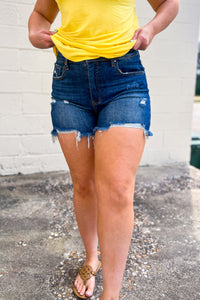 Vada Destroyed High Rise Jean Shorts
