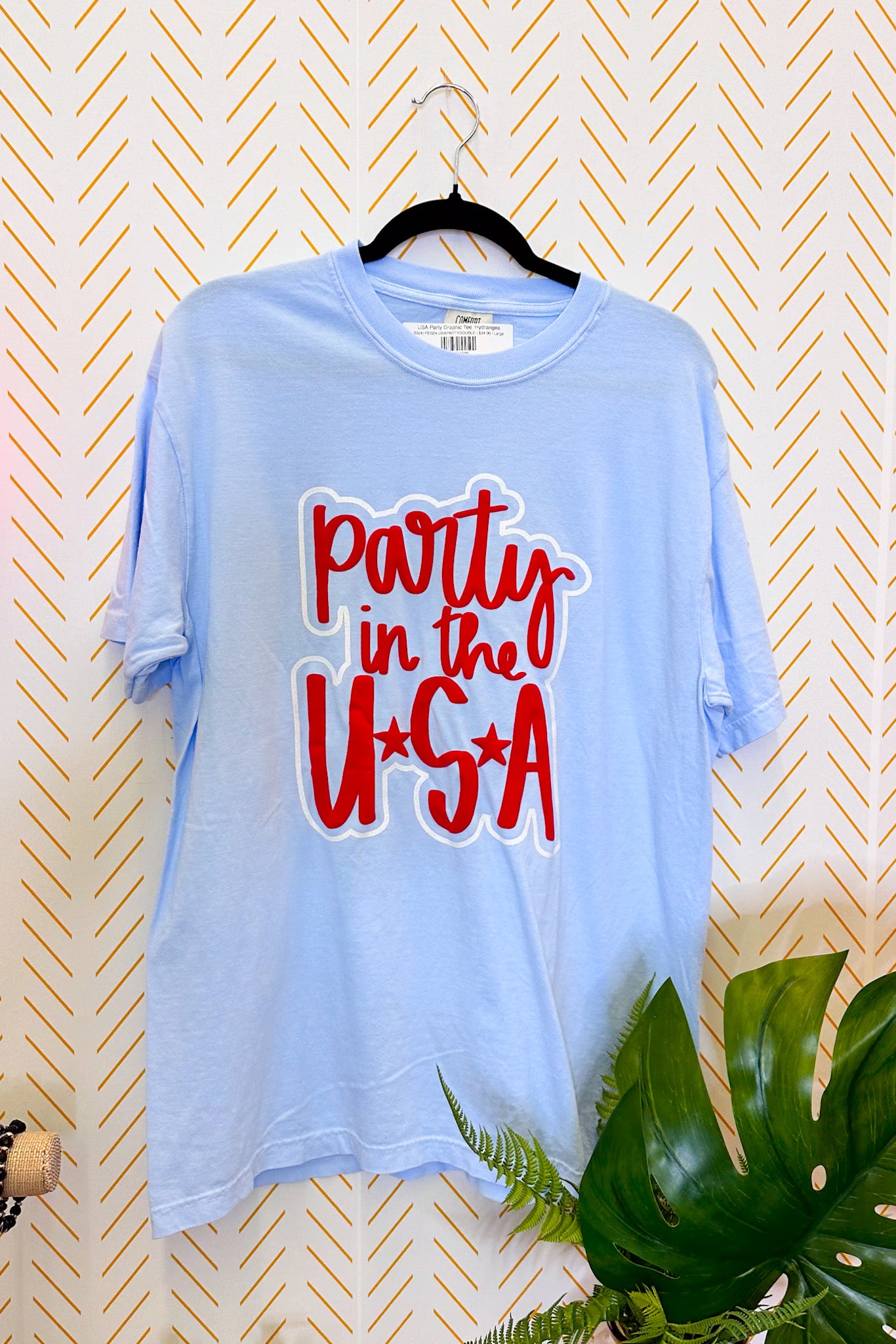 USA Party Graphic Tee, Hydrangea